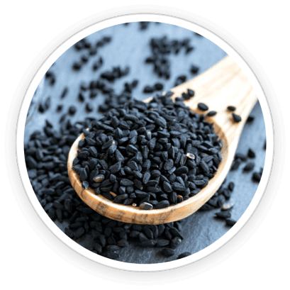 PrimeBiome  Ingredients 