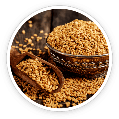 PrimeBiome   Ingredients 