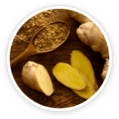 PrimeBiome  Ingredients 